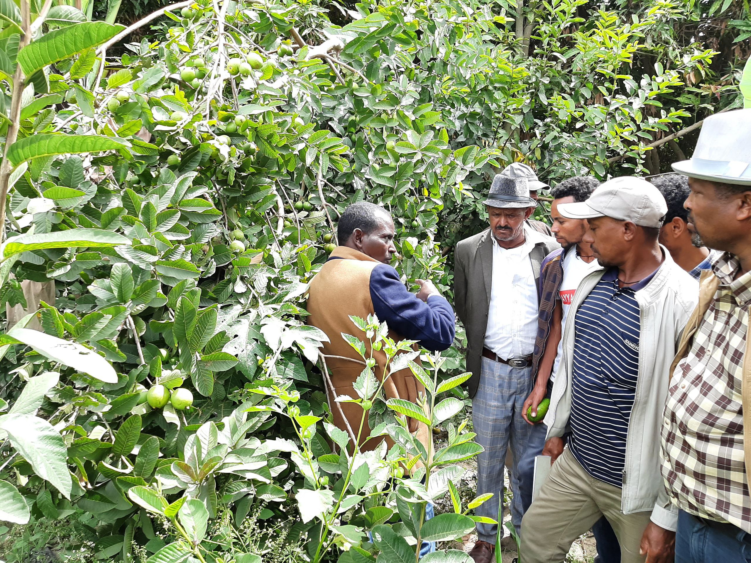 Beyond the Plate: Why Reimagining Food Security is Urgent